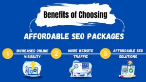 Affordable SEO Services in Delhi