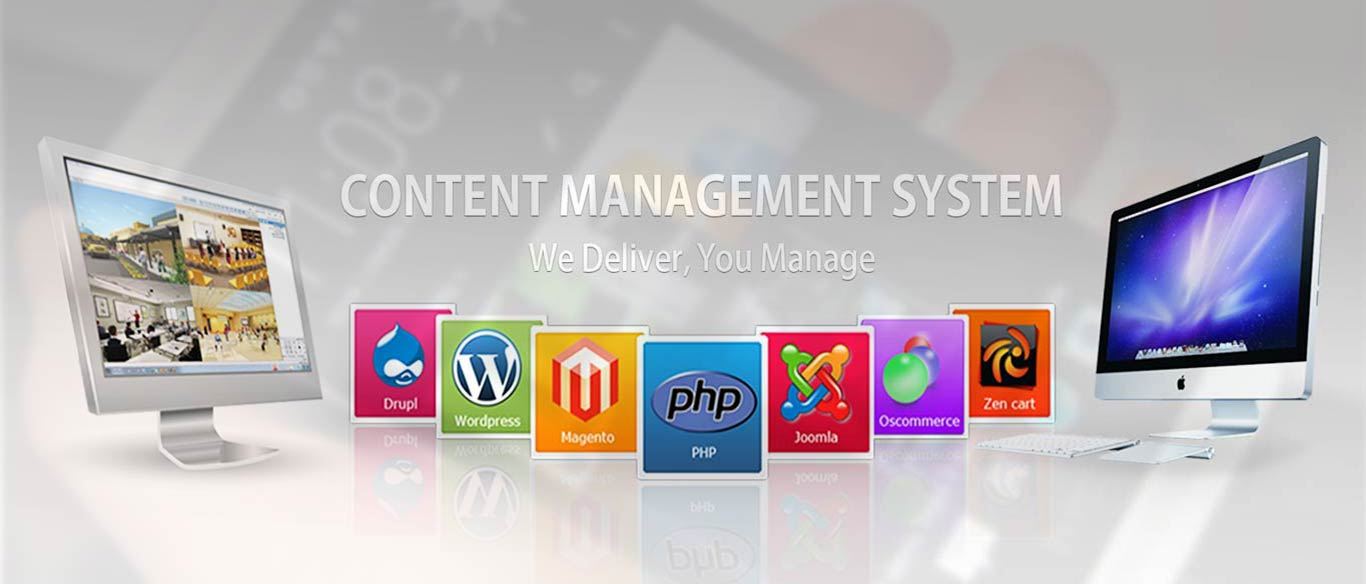 Best CMS Company in Delhi